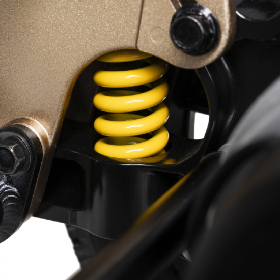 erivo suspension